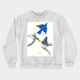 Blue-bird from Birds of America (1827) Crewneck Sweatshirt